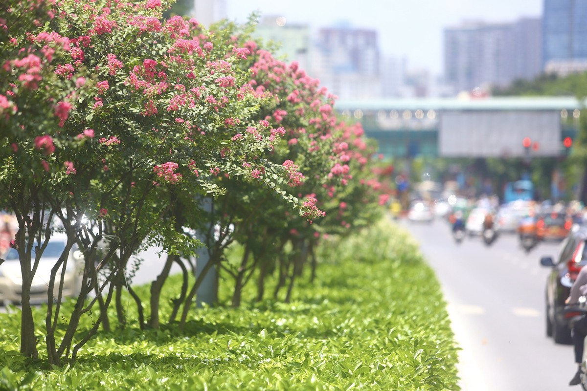 Thời tiết hôm nay (23-9): Bắc Bộ ngày nắng, Trung Bộ và Nam Bộ có mưa to 